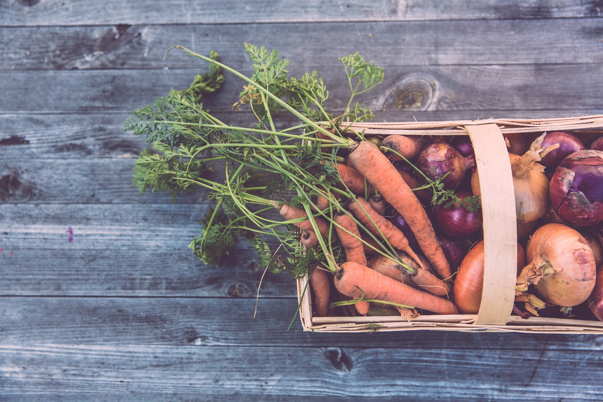 Dein Garten im September: Ernten, säen, vorsorgen