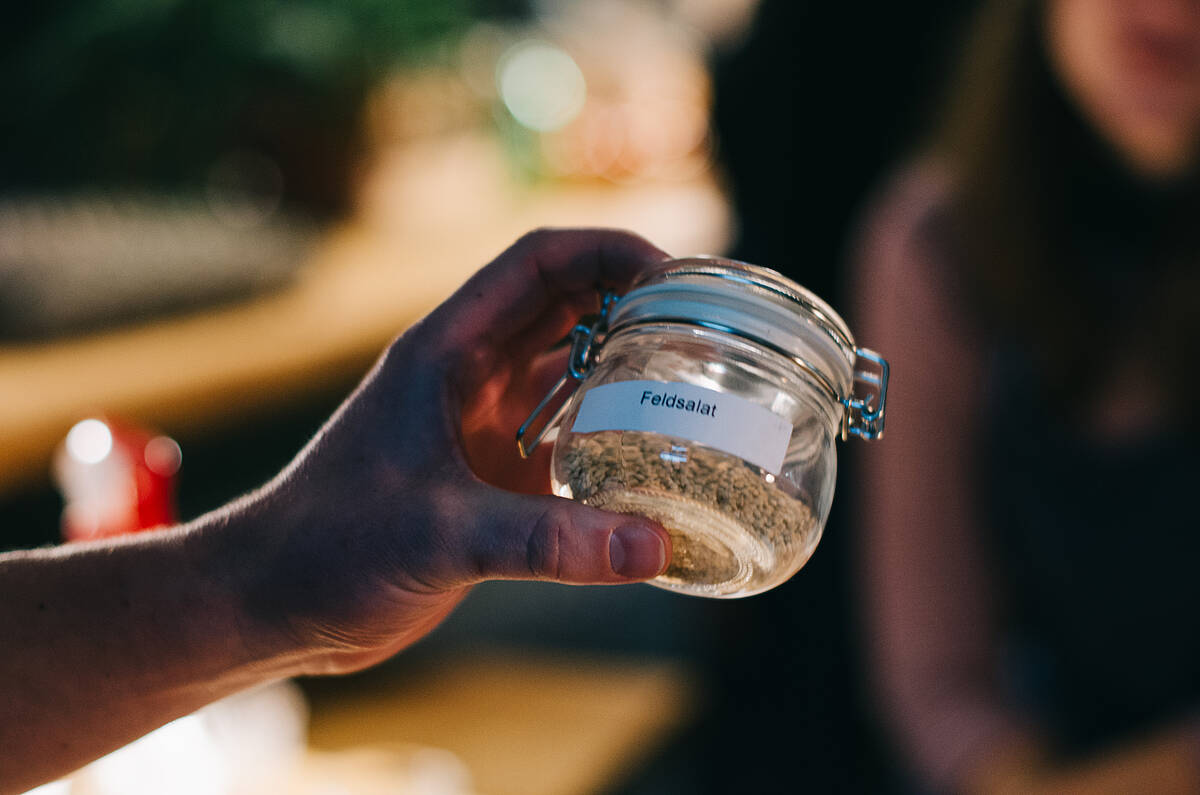 Wer die Saat hat, hat die Macht! Teil 1 – Hybride