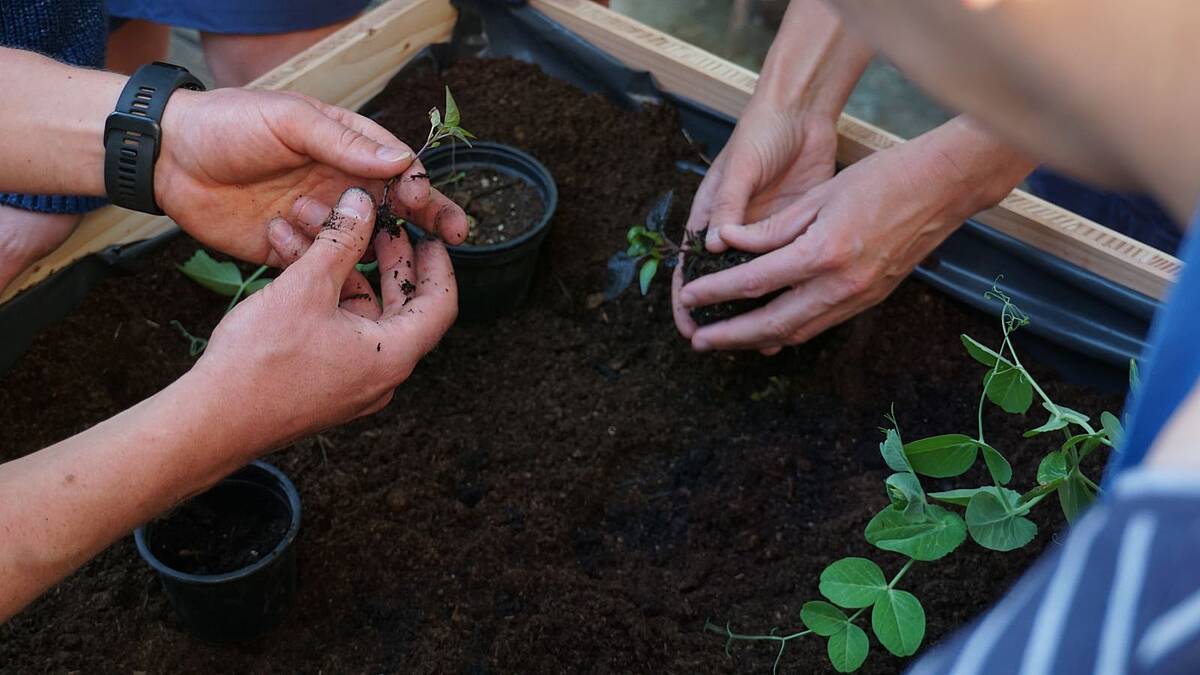 Gärtnern ohne Garten – Schrebergarten, Gemeinschaftsgarten und Co.
