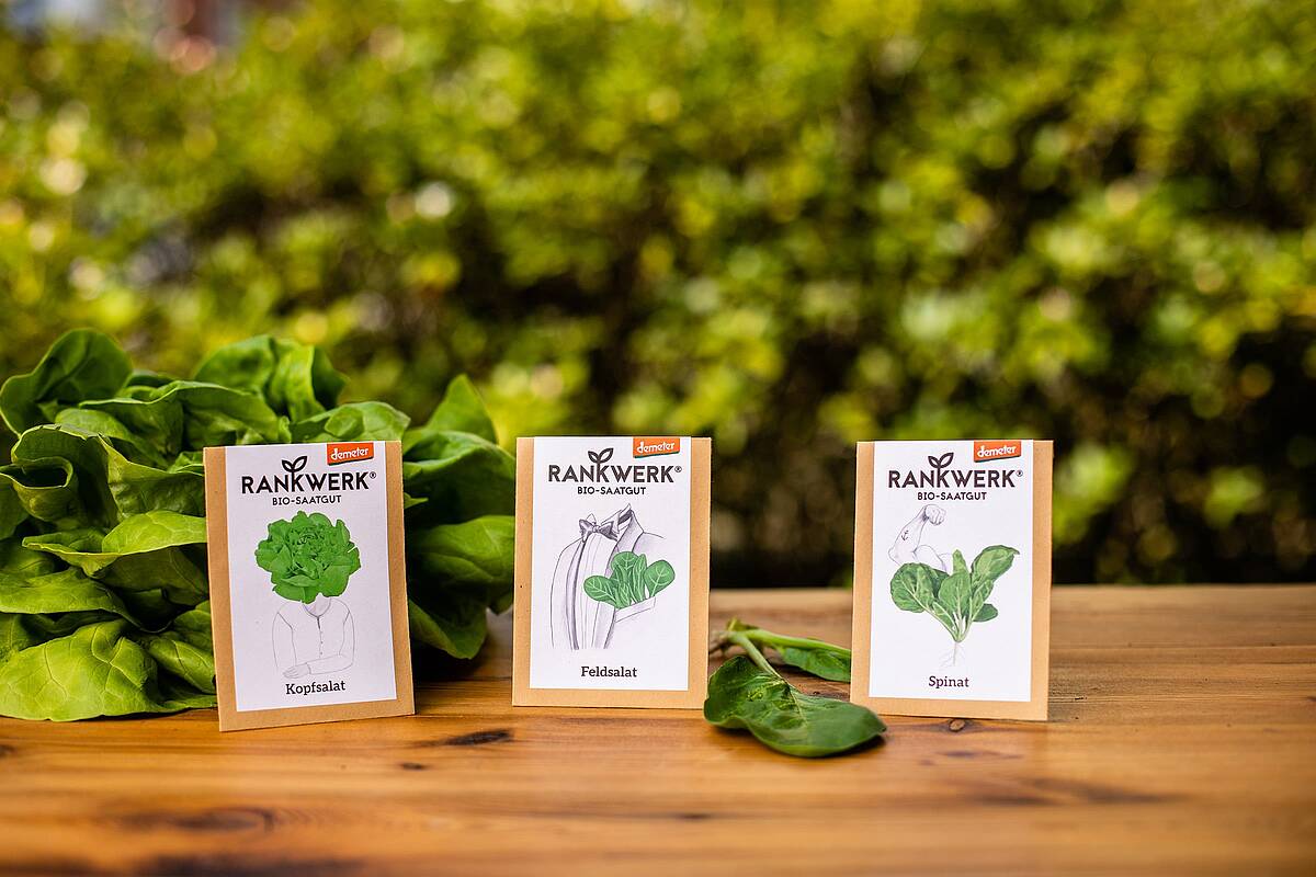 Garten Geschenke - das sind die besten Ideen