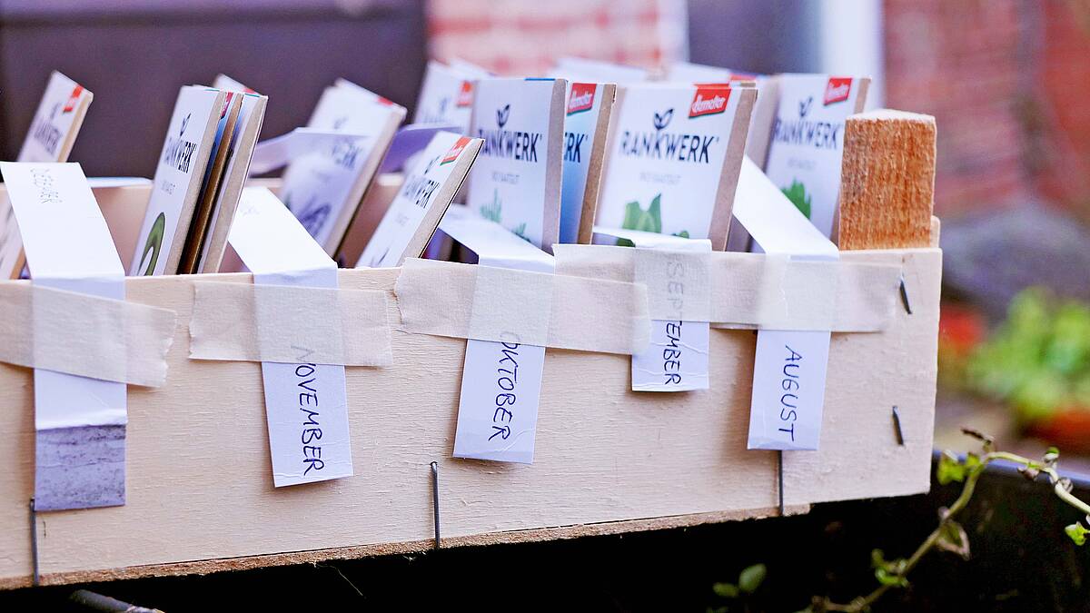 Strukturiere dein Gartenjahr: DIY Aussaat-Box