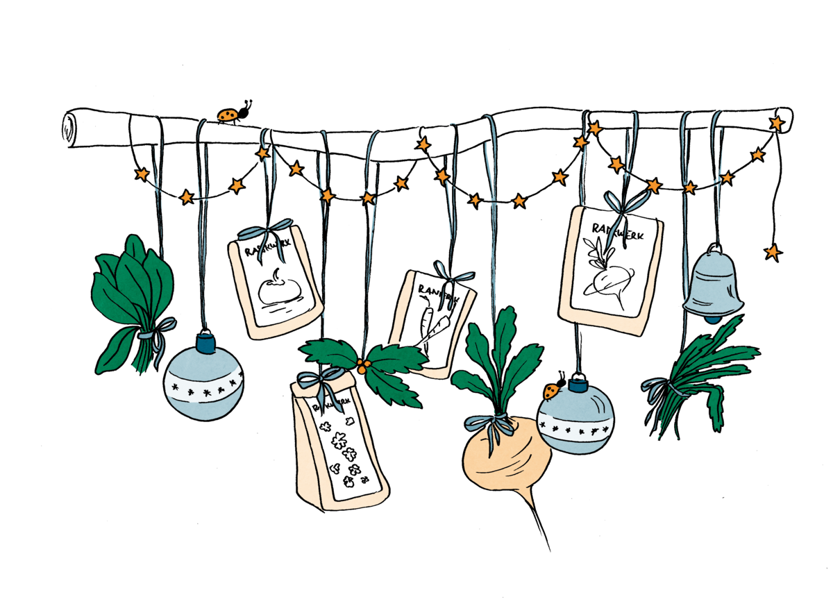Saatgut-Adventskalender – einfache Anleitung zum Selbermachen