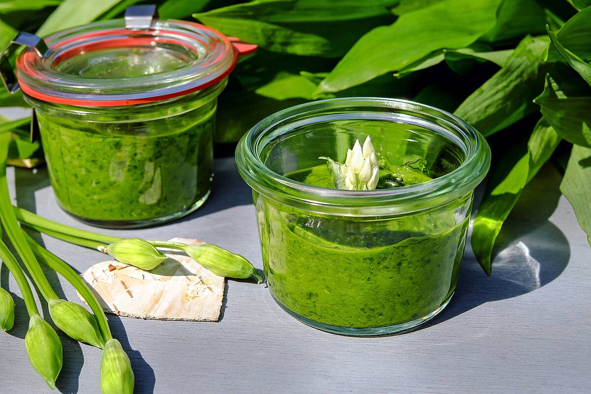 Kressepesto - Das schnelle Rezept für zwischendurch