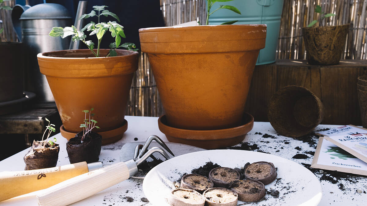 3 Tipps für das neue Gartenjahr