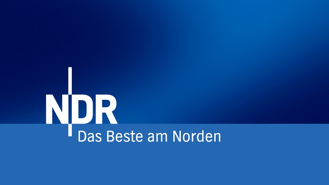 Rankwerk im Gespräch mit dem NDR