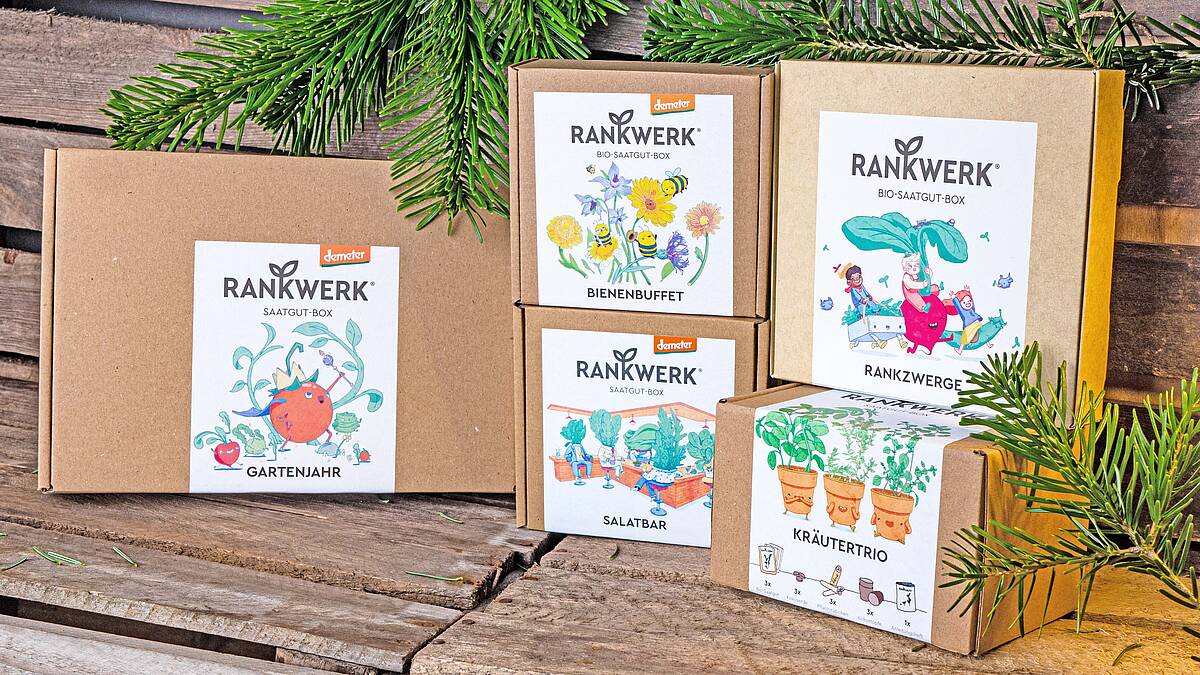 Die richtige Saatgutbox für dich