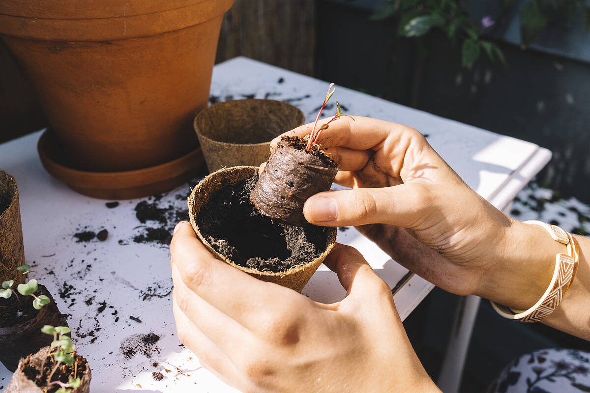 Der perfekte Start in dein Gartenjahr – Kokosquelltabletten