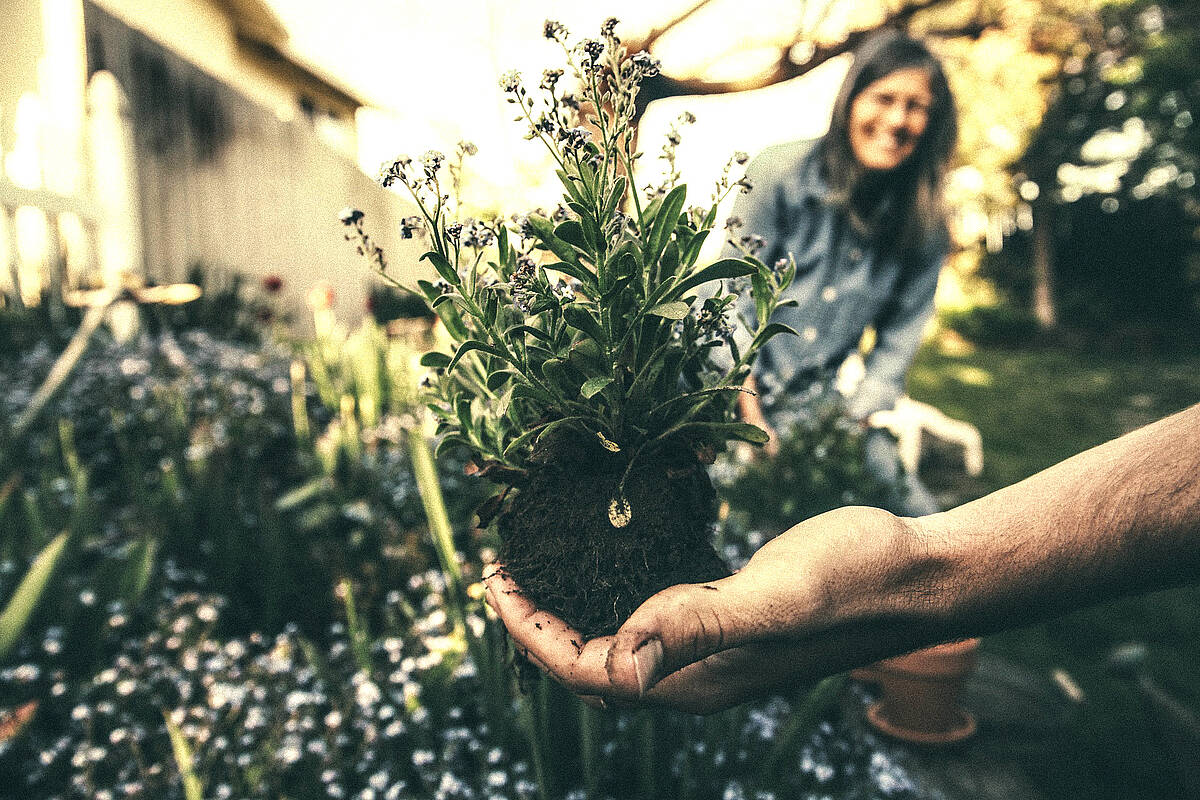 Nachhaltigkeit durch Glück und Garten