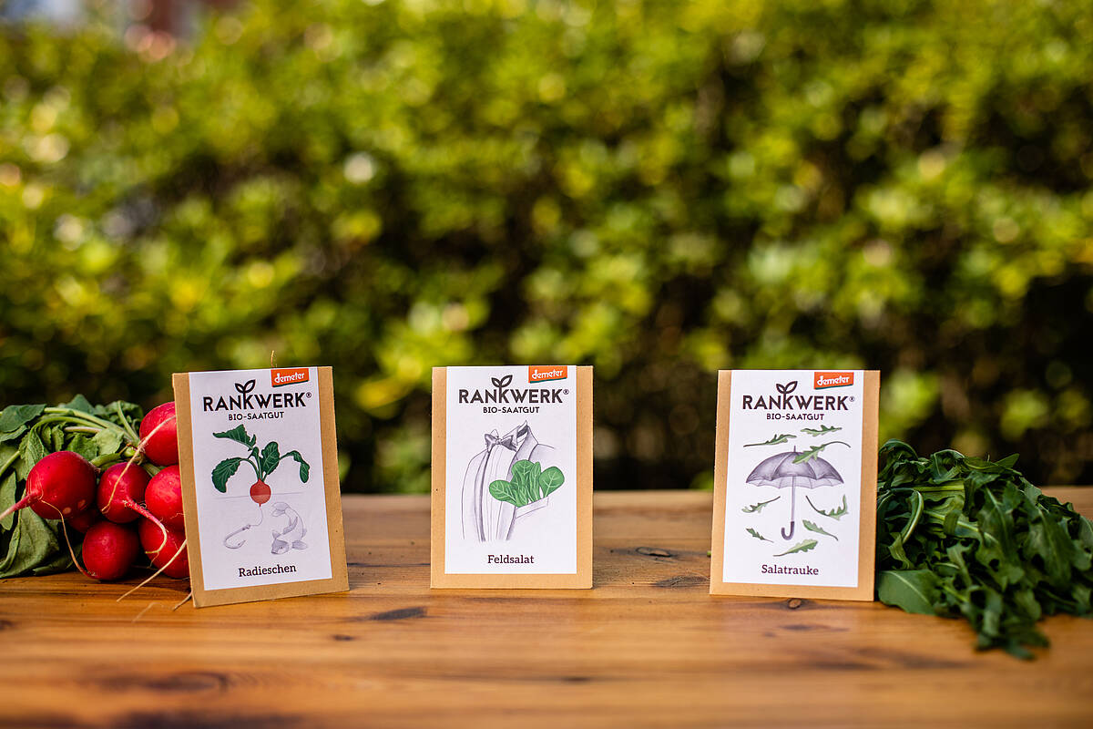 Saatgut für den August – Kräuter und Gemüse für Balkon und Garten